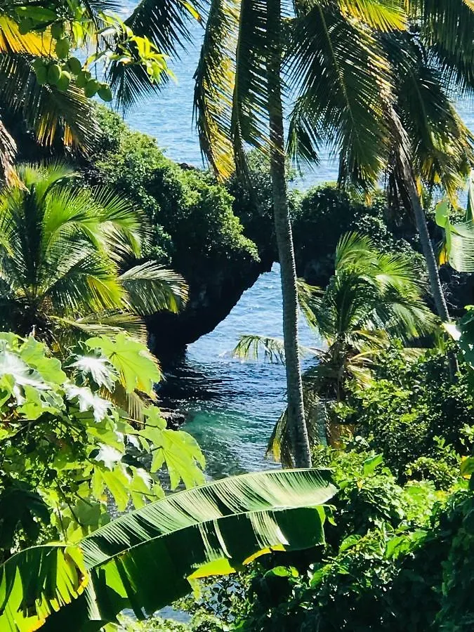 Prázdninový dům Piece Of Paradise Las Terrenas Dominikánská republika